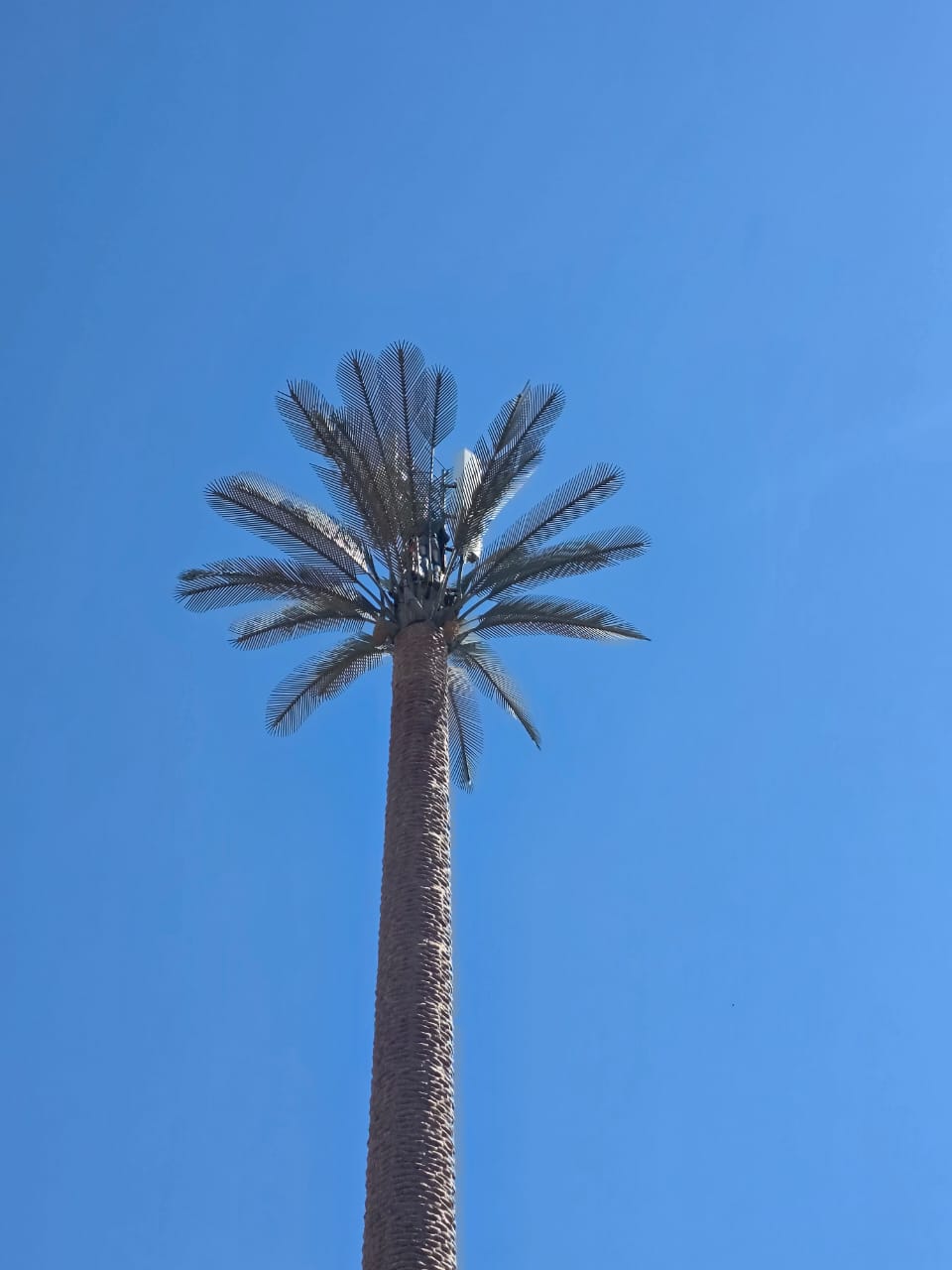 Palm-disguised tower blending into its surroundings